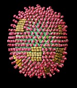 Molecule make up of influenza virus